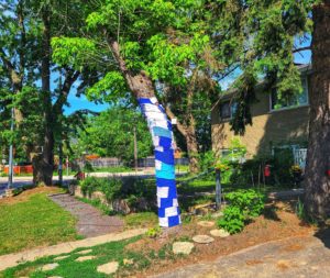 The picture is of the exterior of the CHCK Training Centre taken on May 31, 2022. A tree has been yarn bombed blue and white. 